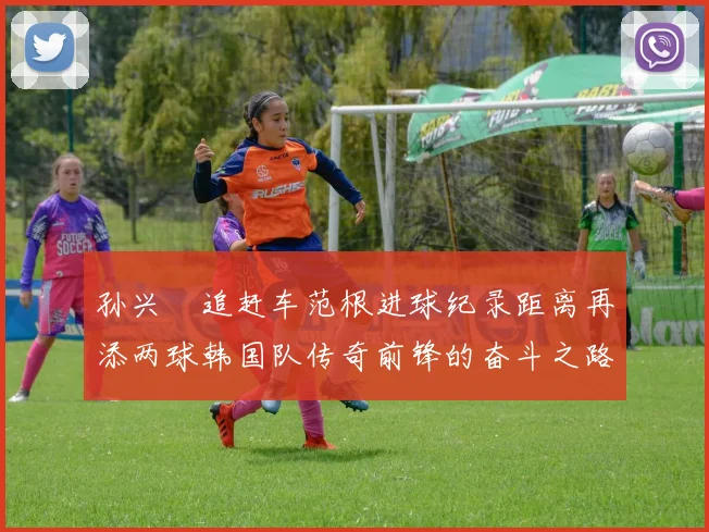孙兴慜追赶车范根进球纪录距离再添两球韩国队传奇前锋的奋斗之路