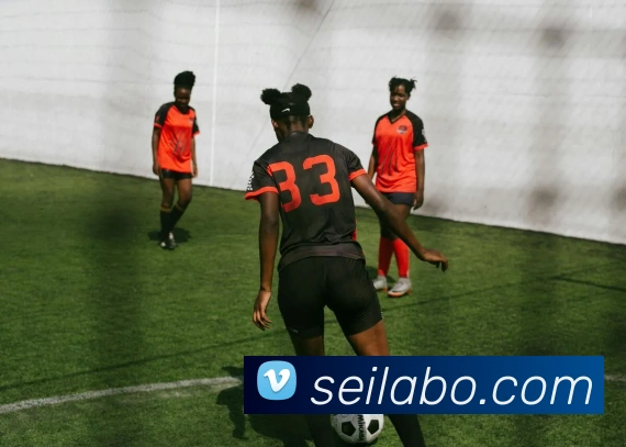 奖项证书